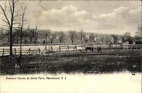 Photo only available in the library